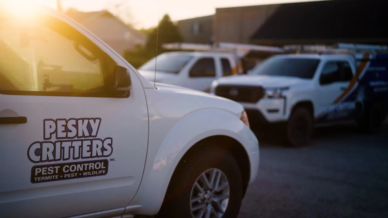 Pesky Critters Pest Control brand video: fleet of white service trucks with the company logo in golden light